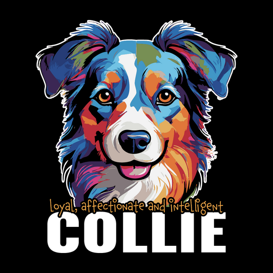 Colorful illustration of a collie dog with descriptive text on a black background
